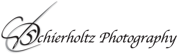 Schierholtz