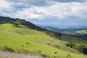 Las Trampas Ridge
